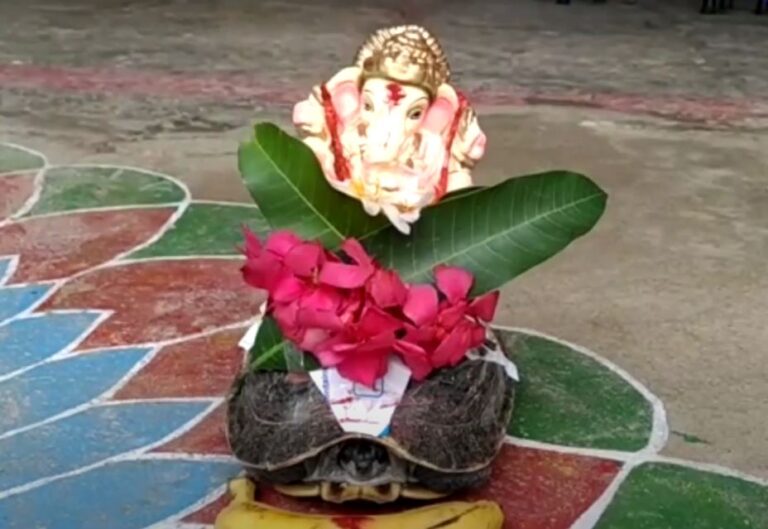 సూపర్ ఫోటో.. తాబేలుపై వినాయకుడు!