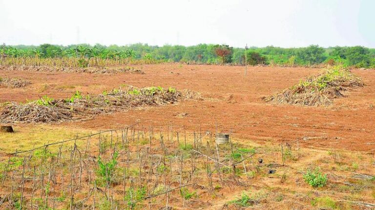 తెలంగాణ సర్కార్ మరో భారీ ఆఫర్