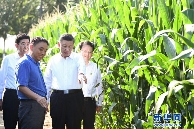 యుద్ధోన్మాదం: చైనాలో ఆహార సంక్షోభం.. ఆకలిచావులేనా?