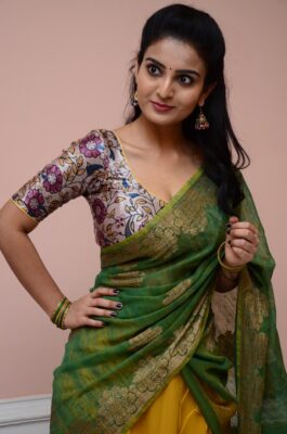 Ananya Nagalla Vakeel Saab