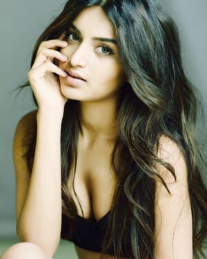 Nidhhi Agerwal movies list