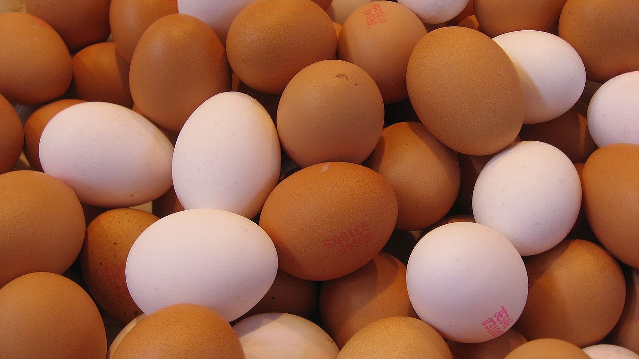 Eggs Health Benefits: రోజుకు ఎన్ని గుడ్లు తినాలో తెలుసా? పచ్చని తినొచ్చా