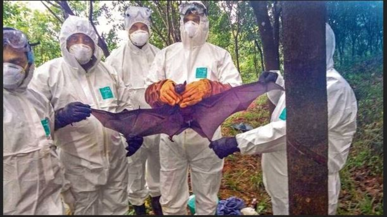 Nipah Virus In Kerala: కరోనా తర్వాత భారత్ లో మరో మహమ్మారి.. ఇద్దరు మృతి