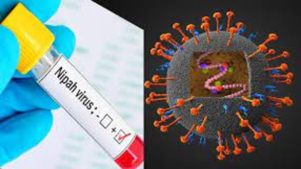 Nipah Virus: చాపకింద నీరులా నిపా.. ఇంతకీ ఈ మహమ్మారి లక్షణాలు ఏంటో తెలుసా?