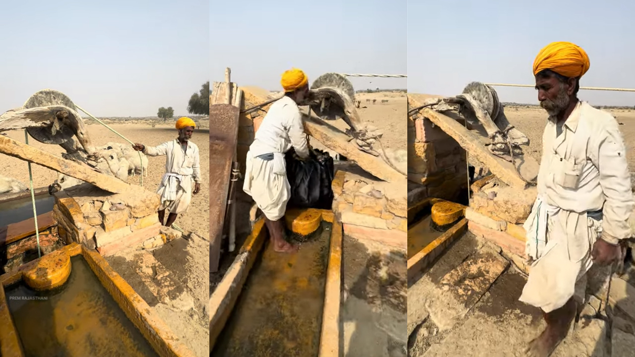 Rajasthan Water Crisis Video Goes Viral On Social Media