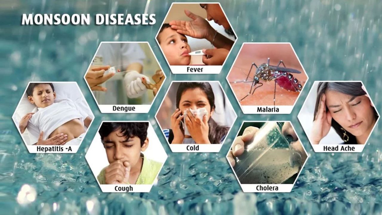 Monsoon Diseases