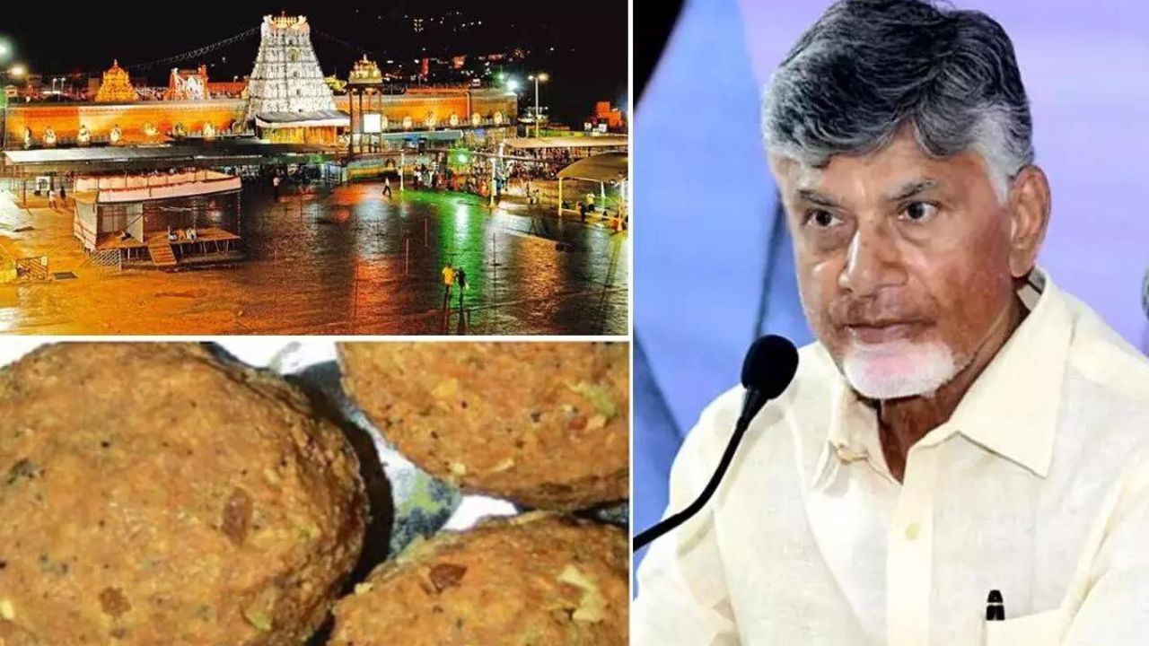 This Is Why Chandrababu Revealed The Secret Of Tirumala Laddu