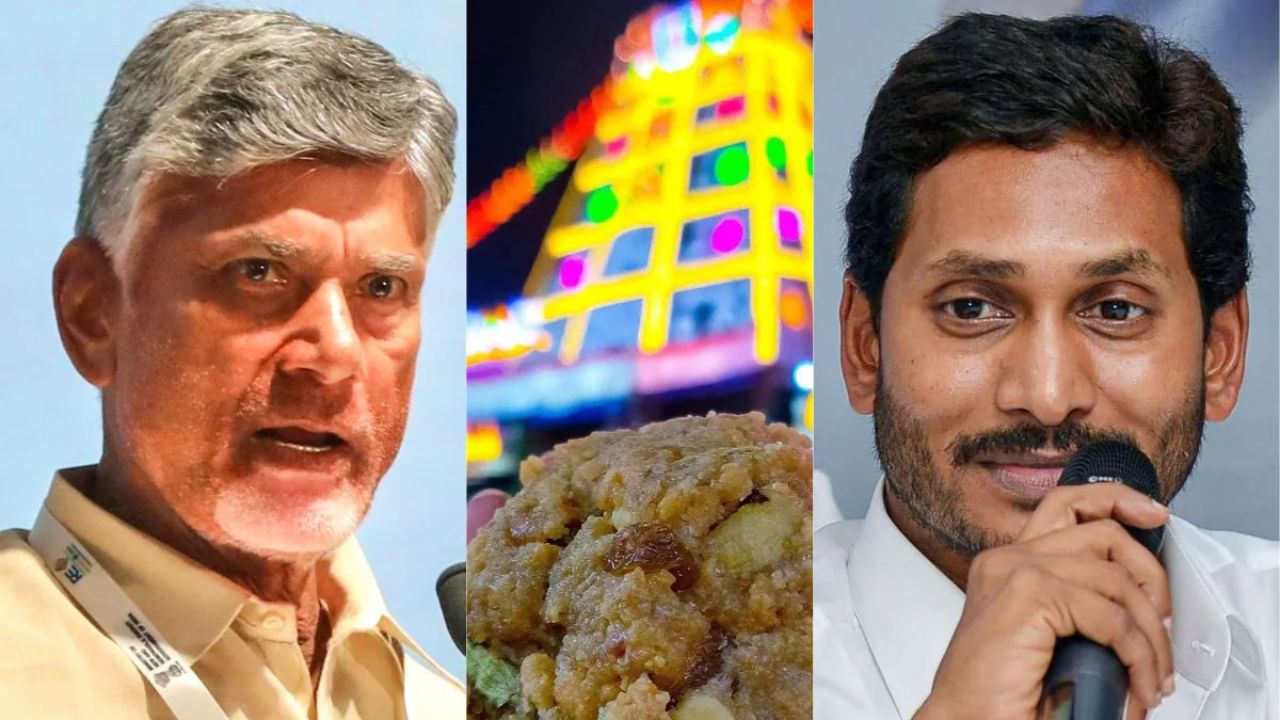 Floods And Super 6 Cant Be Done Thats Why Babu Is Diverting To Tirupati Laddu Jagan Hot Comments