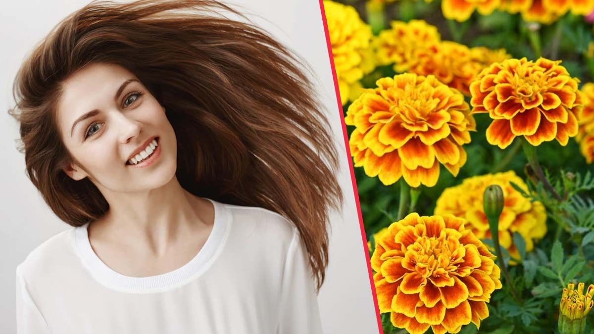 Marigolds Keep Skin And Hair Healthy