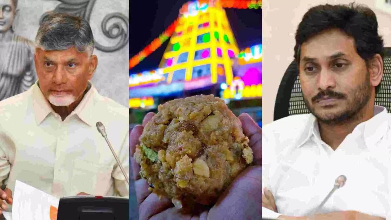 Jagan Criticized The Behavior Of Ap Cm Chandrababu In The Wake Of The Tirumala Laddu Controversy