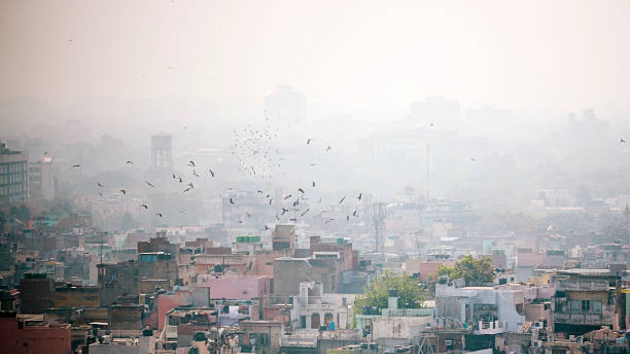 Delhi pollution