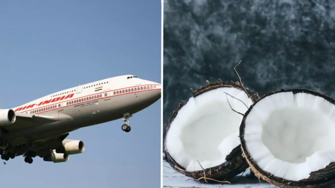 Ban On The Transportation Of Coconuts In Airplanes Do You Know How Dangerous It Is If You Carry It Secretly