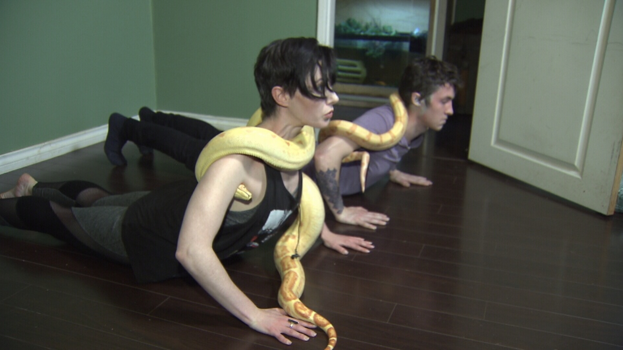 Snake Yoga The Scary Snake Yoga Does It Have So Many Benefits