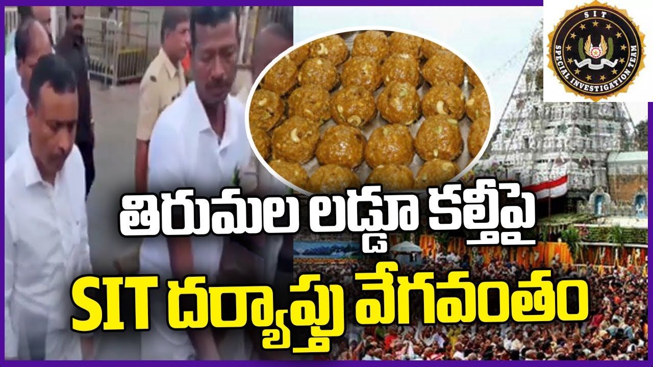 Sit Investigation Into Ttd Laddu Controversy Begins