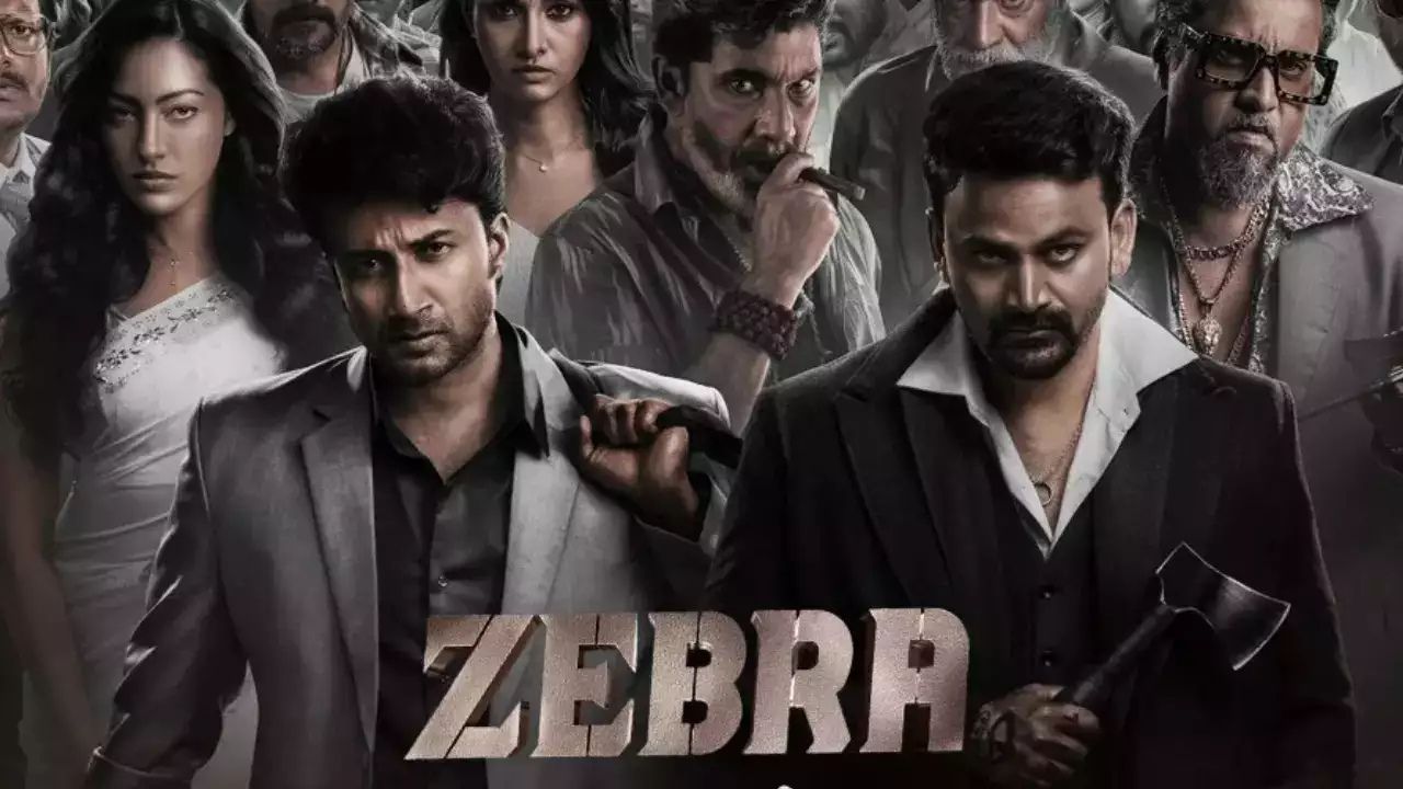 Zebra Movie Review In Telugu