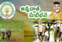 Annadata Sukhibhava vs PM Kisan benefits 2025: అన్నదాత సుఖీభవ..రైతుల ఖాతాల్లో డబ్బులు పడేది అప్పుడే! Annadata Sukhibhava