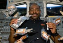 What Can Astronauts Eat: వ్యోమగాములు ఎలాంటి ఆహారం తీసుకుంటారు? What Can Astronauts Eat