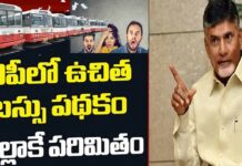 AP Women Free Bus: సర్ ప్రైజ్.. ఉచిత బస్సు ప్రకటించిన బాబు.. కానీ ఇదే ట్విస్ట్ సార్? AP Women Free Bus