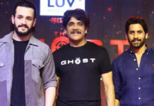 Akkineni Heroes: అక్కినేని హీరోలకి సక్సెస్ రాకపోవడానికి కారణాలు ఇవేనా… Akkineni Heroes