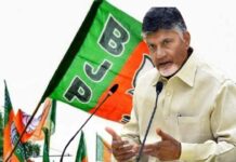Chandrababu BJP Decision: బిజెపికి నో చెప్పిన చంద్రబాబు! Chandrababu BJP