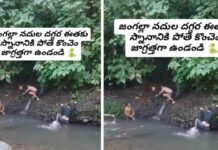 Cobra Video: సరదాగా ఈతకు వెళ్లిన దోస్తులకు.. అనుకోకుండా ఏదో తాకింది.. గుండెజారి గల్లంతయ్యే వీడియో ఇది Cobra Video