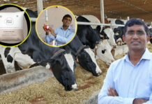 Dairy Startup Success Story: ఇంటెల్ లో ఉద్యోగం వద్దనుకొని 20 ఆవులను కొన్నాడు.. 44 కోట్ల వ్యాపార సామ్రాజ్యం నిర్మించాడు.. Dairy Startup Success Story