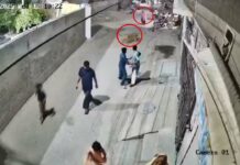 Lion Attacks Woman: మహిళపై సింహం దాడి.. పోలీసుల ఎంక్వయిరీ లో దిమ్మతిరిగే నిజం.. వైరల్ వీడియో Lion Attacks Woman