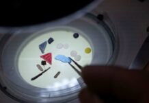 Microplastics in Semen: మీ ప్రైవేట్ భాగాలలో కూడా ప్లాస్టిక్ ఉందని మీకు తెలుసా? పిల్లలు పుట్టకపోవచ్చు. Microplastics in semen