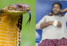 Snakebite : మనిషిని కాటేసి చనిపోయిన పాము.. ఇప్పుడు అతడు ఎలా ఉన్నాడంటే.. షాకింగ్ వీడియో