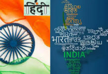 The National Language: జాతీయ భాష, అధికారిక భాష మధ్య తేడా ఏమిటి, హిందీ ఎందుకు జాతీయ భాషగా మారలేకపోయింది? The National Language