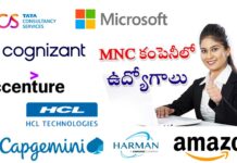 2025 Software Jobs: కొలువులు పోతున్న వేళ.. సాఫ్ట్ వేర్ ఇంజినీర్ల పంట పండింది.. ఏకంగా వందల కోట్ల ప్యాకేజీలు.. ఇది జూకర్ బర్గ్ మామ మహిమ Software Jobs