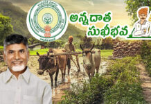 Annadata Sukhibhava Scheme: అన్నదాత సుఖీభవ.. స్టేటస్ ఇలా చెక్ చేసుకోండి! Annadata Sukhibhava Scheme