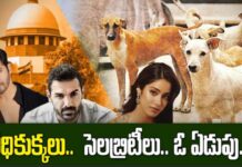 Celebrity Reaction Street Dogs: వీధి కుక్కలు ప్రాణాలు తీస్తున్నాయి.. సెలబ్రెటీస్ ఎందుకంత ఏడుపు? Celebrity Reaction Street Dogs