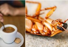 Cockroaches Coffee: బొద్దింకలతో కాఫీ తయారీ.. తాగేటోళ్లంతా ఇది గుర్తించాలి Cockroaches Coffee