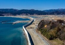 Great Tsunami Wall Japan: వేల మొక్కల్ని కాపాడేందుకు.. సునామి నుంచి రక్షణకు.. జపాన్ చేసిన అద్భుతం! Great Tsunami Wall Japan