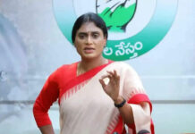Sharmila: షర్మిలకు మరో షాక్ తప్పదా? Sharmila