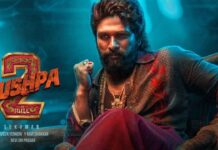 Pushpa 2: ‘పుష్ప 2’ కు మించిన అదిరిపోయే స్క్రీన్ ప్లే మూవీ ఇదీ.. అయినా నేషనల్ అవార్డ్ ఎందుకు రాలేదు… Pushpa 2