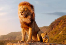 World Lion Day: అడవికి సింహం మాత్రమే రాజు.. ఎందుకు? World Lion Day