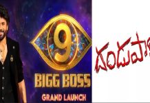 Bigg Boss 9 Telugu: బిగ్ బాస్ 9′ లోకి దండుపాళ్యం మూవీ హీరోయిన్..ఇవేమి సెలెక్షన్స్ బాబూ! bigg boss 9 telugu