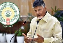 AP Mega DSC: ఏపీ మెగా డీఎస్సీ.. నియామక పత్రాల పంపిణీకి బ్రేక్?! AP Mega DSC 2025