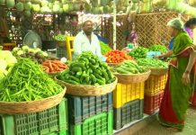 Monsoon Leafy Vegetables: వర్షాకాలంలో ఆకు కూరలు తింటే అనారోగ్యమా.. అసలు నిజమేంటీ. Monsoon Leafy Vegetables