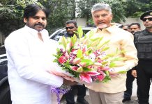 PawanKalyan Health : పవన్ కళ్యాణ్ నెలకు ఒకసారి అస్వస్థతకు గురి కావడానికి కారణాలు ఇవేనా!