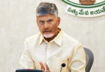 Chandrababu on New Districts: ఇన్నాళ్లకు ఏపీ జిల్లాలను మళ్లీ కదిలించిన చంద్రబాబు.. Chandrababu Warns MLA MS Raju