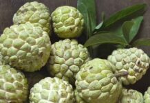 Custard Apple: సీతాఫలంలో చక్కెర శాతం ఎంత ఉంటుంది? దీనిని ఎవరు తినవద్దు? Custard Apple