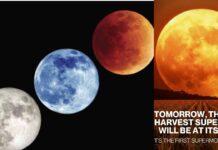 First Supermoon of the Year : వినీలాకాశంలో రేపు అద్భుతం.. చూసేందుకు మీరు సిద్ధమా?