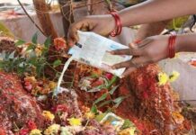 Nagula Chavithi 2025: పాము పుట్టలో పాలు పోయడం వల్ల నిజంగానే గర్భం వస్తుందా? Nagula Chavithi 2025