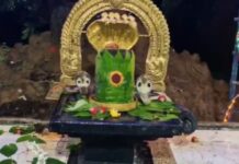 Nagula Chavithi : నాగుల చవితి రోజు జరిగిన మహా అద్భుతం.. భక్తుల ఆశ్చర్యం