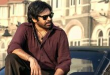 Pawan Kalyan : పవన్ కళ్యాణ్ ఆ పాత్రలో కనిపిస్తే రికార్డులు బ్రేక్ అవ్వాల్సిందేనా..? Pawan Kalyan assets value
