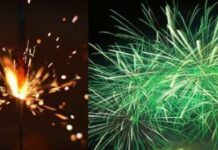 Regular Crackers Vs Green Crackers: సాధారణ క్రాకర్స్, గ్రీన్ క్రాకర్స్ కు తేడా ఏంటి? Regular Crackers Vs Green Crackers