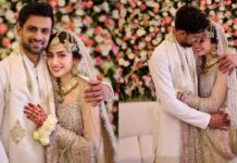 Shoaib Malik Divorce: సానియా మీర్జా సహా మూడో భార్యకు విడాకులు.. మాలిక్కూ.. ఎంత మందిని మార్చుతావయ్యా? Shoaib Malik Divorce
